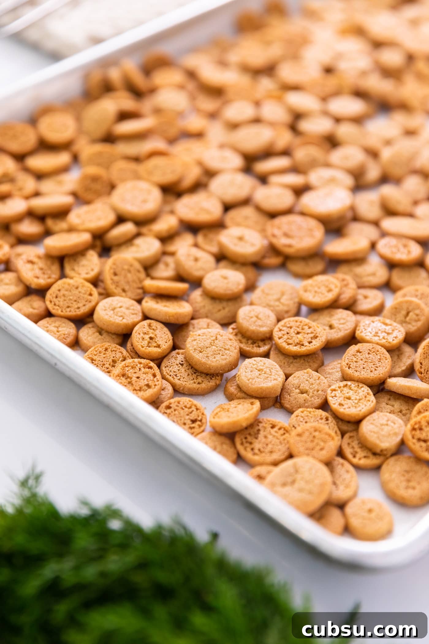 Small peppernut cookies sitting on baking tray after coming out of the oven on white surface with greenery in foreground