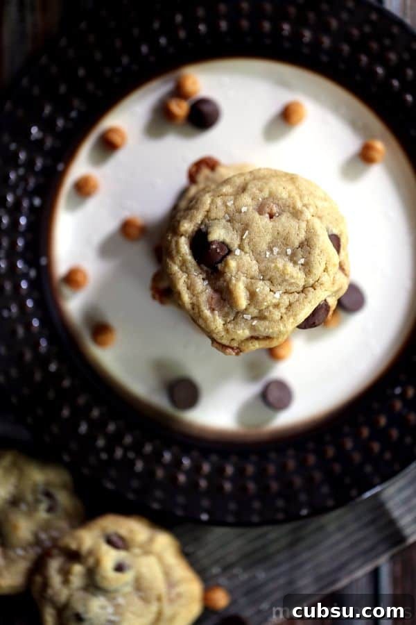 Salted Caramel Dark Chocolate Chip Cookies | Melanie Makes