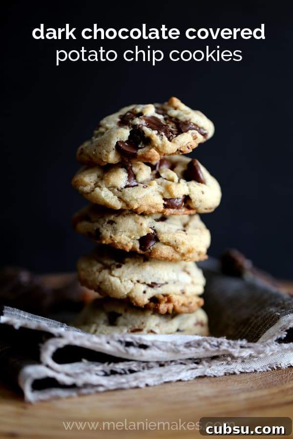 Dark Chocolate Covered Potato Chip Cookies | Melanie Makes