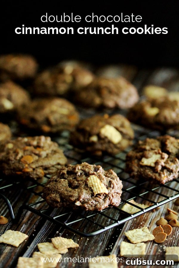 Double Chocolate Cinnamon Crunch Cookies | Melanie Makes