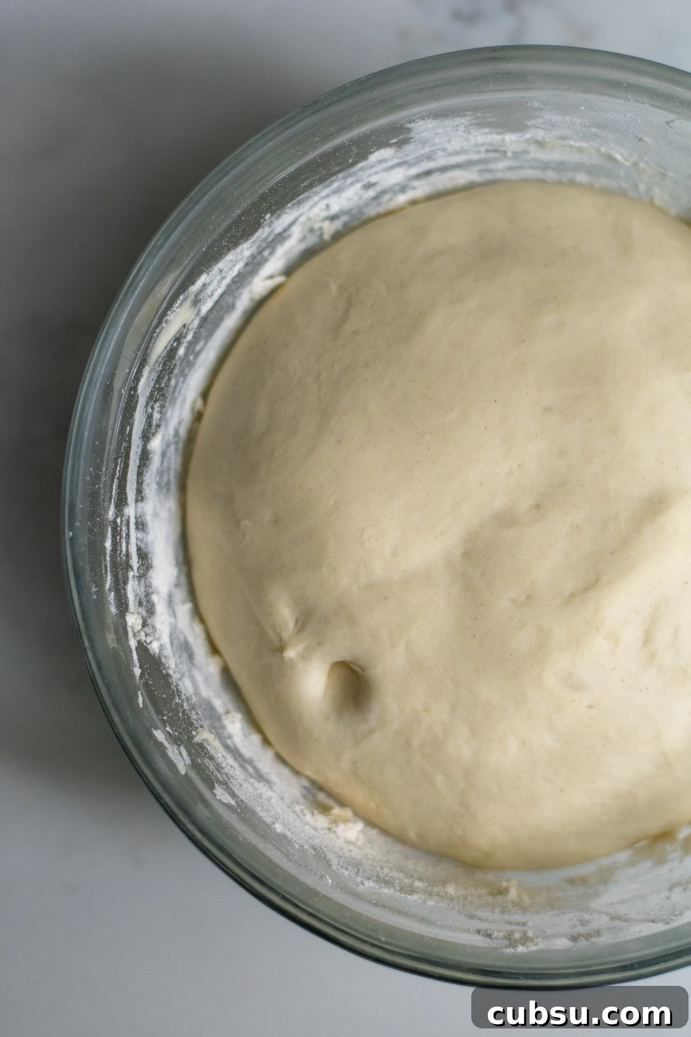 5 Essential Tips for Perfect Yeast Baking Every Time 5 Dough after checking for proofing status.