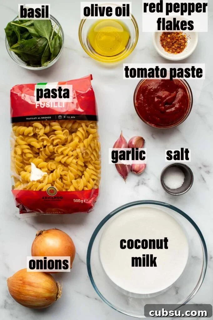 Labelled ingredients including basil, olive oil, red pepper flakes, tomato paste, pasta, garlic, salt, onions and coconut milk.