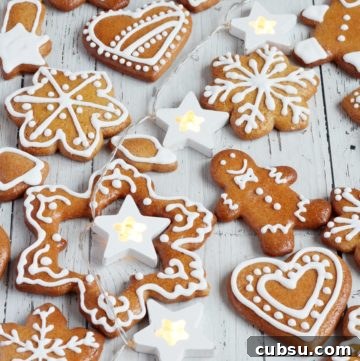 Gingerbread Soft Cookies (Perníčky) – Traditional Czech Recipe 11 ginger cookies decorated with icing