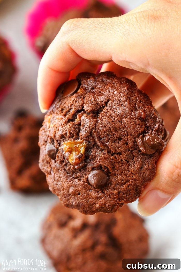 Double Chocolate Chip Banana Muffins Picture