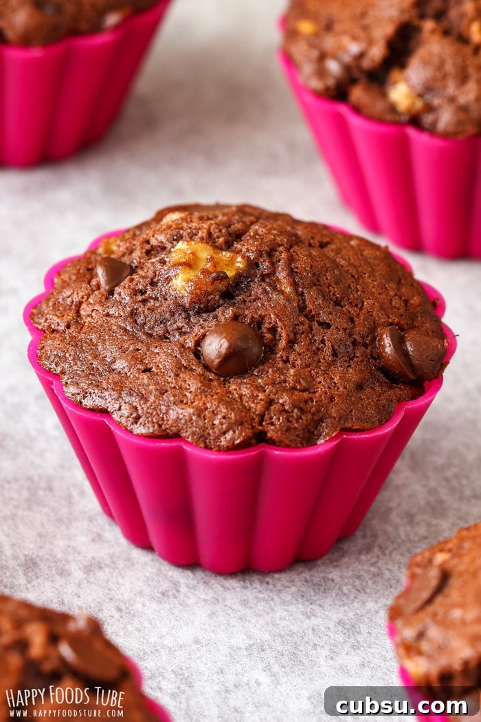 Double Chocolate Chip Banana Muffins Closeup Picture