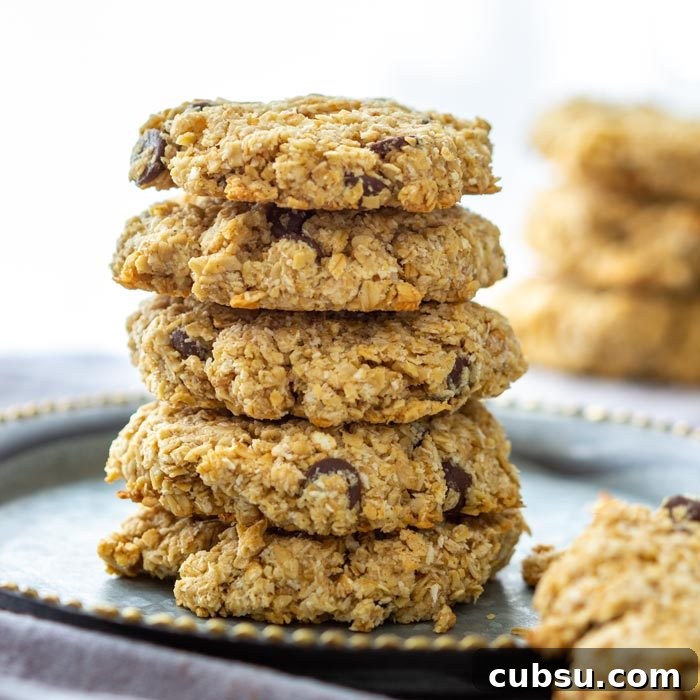 Best Flourless Chocolate Chip Oatmeal Cookies