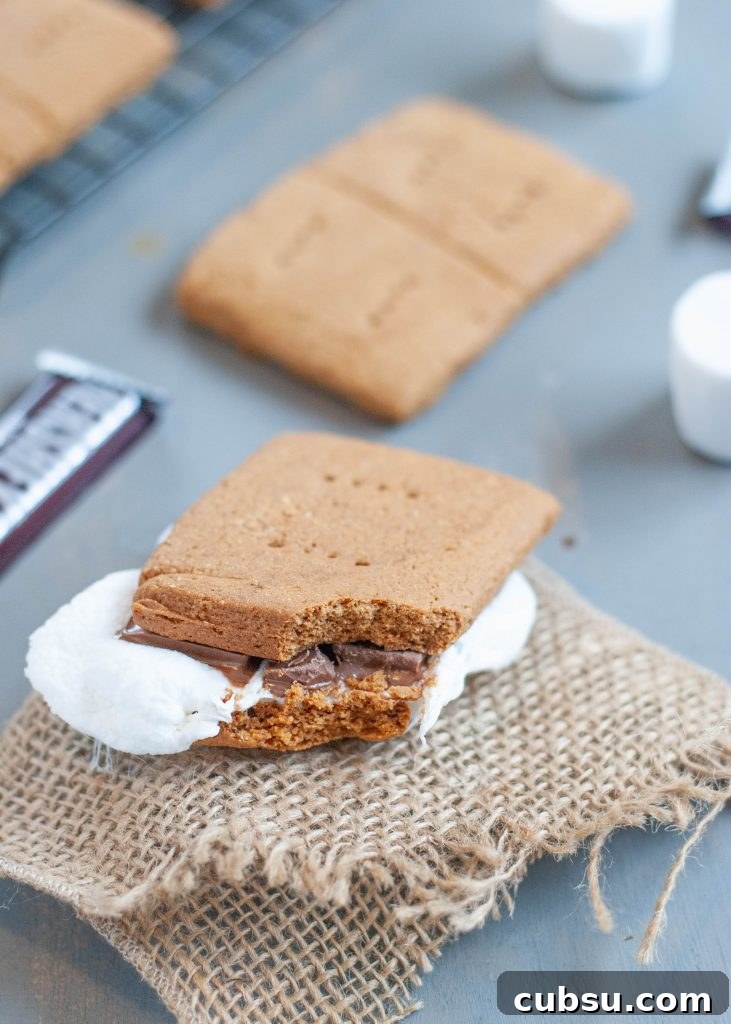 how-to-make-a-gluten-free-dairy-free-smore