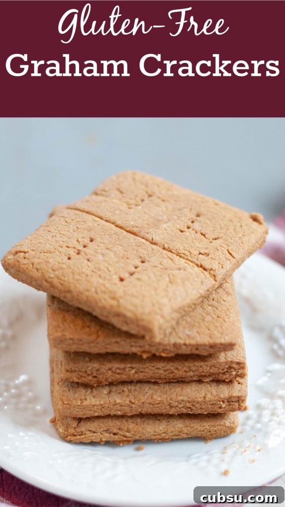 gluten-free-homemade-graham-crackers-recipe-by-allergy-awesomeness-pinterest-image