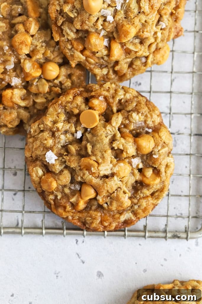 Soft Chewy Gluten-Free M&M Cookies recipe 9 gluten free oatmeal butterscotch cookies topped with flaky sea salt