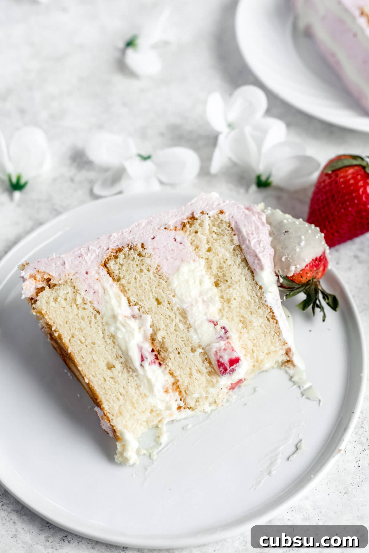slice of cake on a white plate
