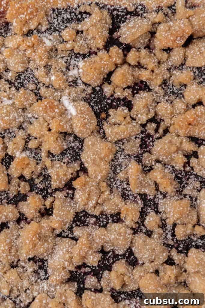 Chewy Blueberry Blondies Recipe with Lemon Glaze 4 overhead close up of the blueberry blondies recipe