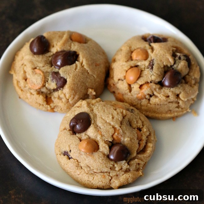 Gluten-free Peanut Butter Cookies with butterscotch and chocolate chips