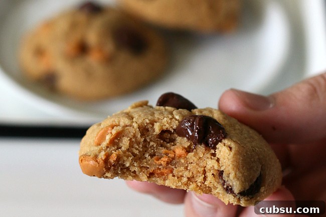 Gluten-free Peanut Butter Butterscotch Chocolate Cookies Bite