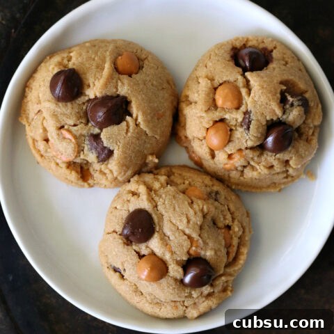 Gluten-free Peanut Butter Butterscotch Chocolate Chip Cookies