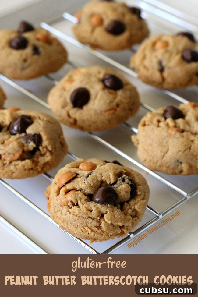 Gluten-free Peanut Butter Butterscotch Chocolate Chip Cookies Recipe