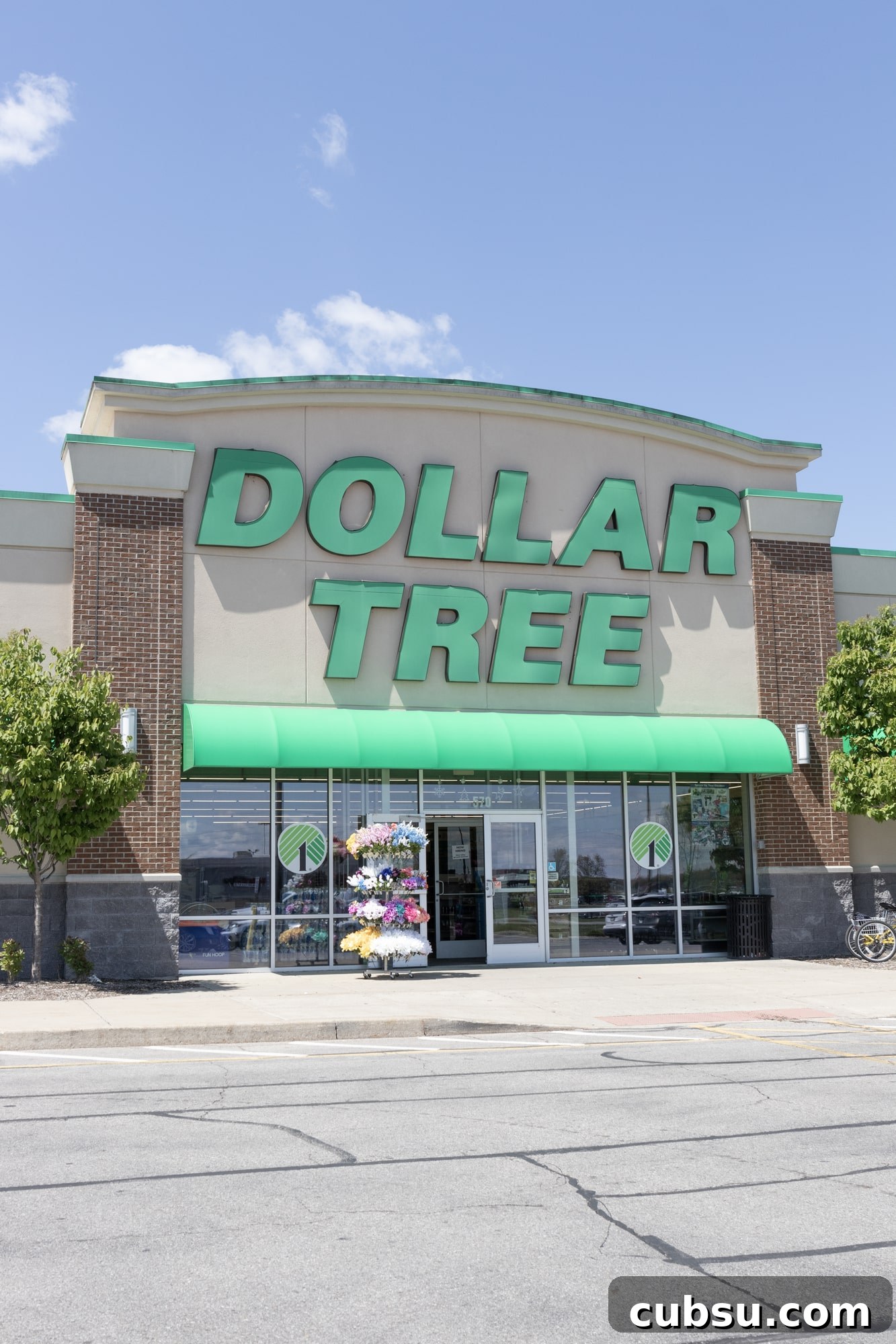 Outside front of a Dollar Tree 