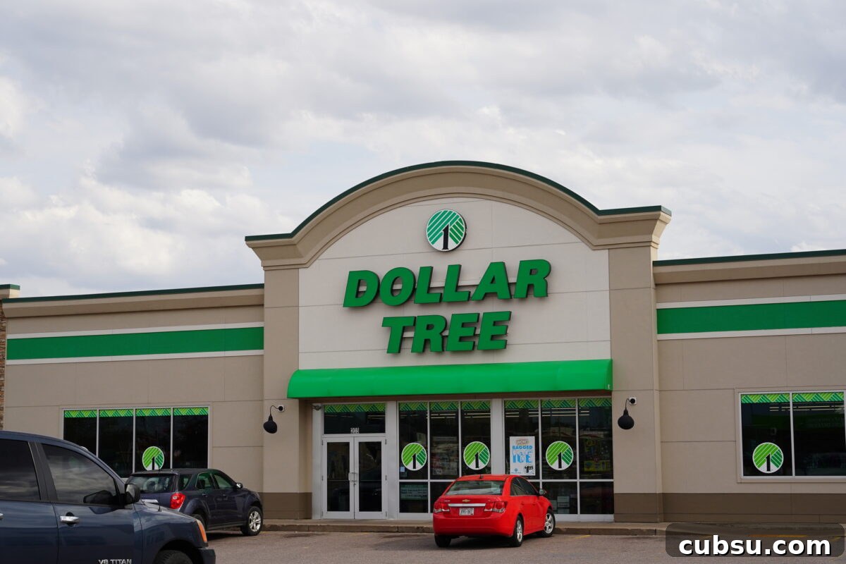Outside front of a Dollar Tree 