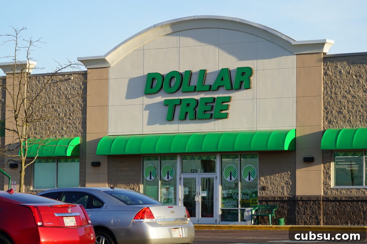 Outside front of a Dollar Tree 