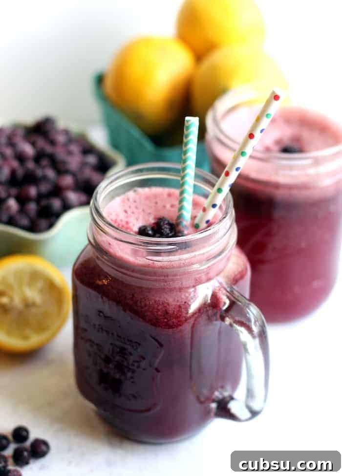Sparkling Wild Blueberry Lemonade Recipe for Summer Refreshment 2 Sparkling Wild Blueberry Lemonade | www.hummusapien.com