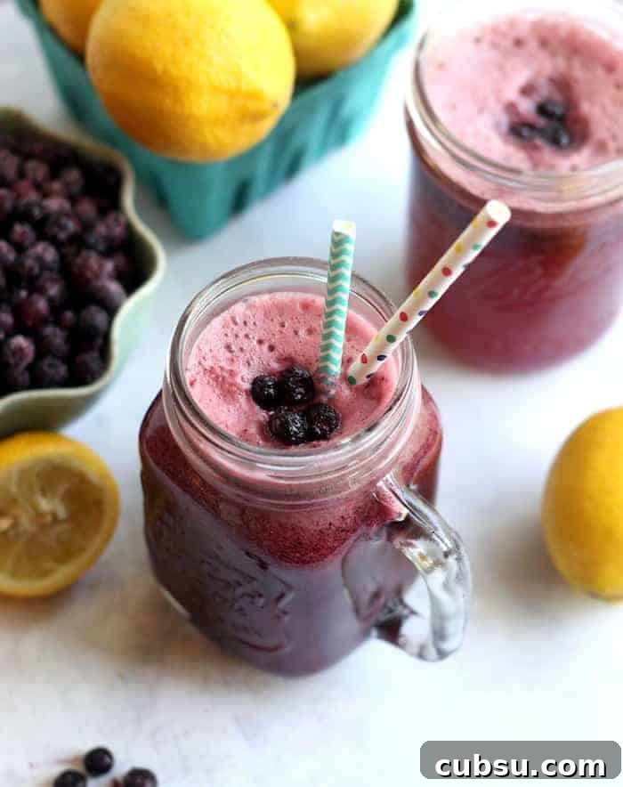 Sparkling Wild Blueberry Lemonade Recipe for Summer Refreshment 3 Sparkling Wild Blueberry Lemonade | www.hummusapien.com