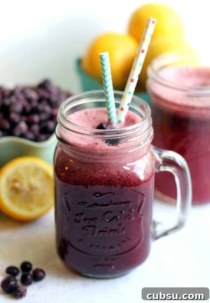 Sparkling Wild Blueberry Lemonade Recipe for Summer Refreshment 4 Sparkling Wild Blueberry Lemonade | www.hummusapien.com