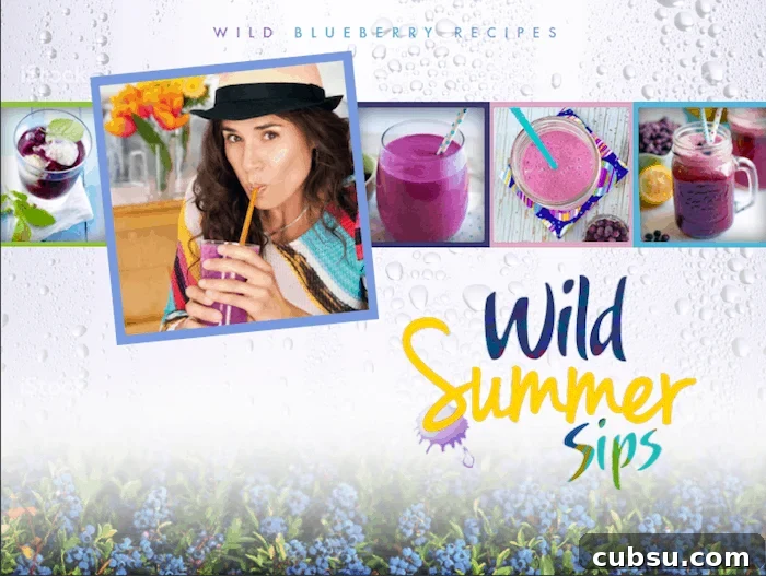 Sparkling Wild Blueberry Lemonade Recipe for Summer Refreshment 6 Wild Blueberry Sweepstakes