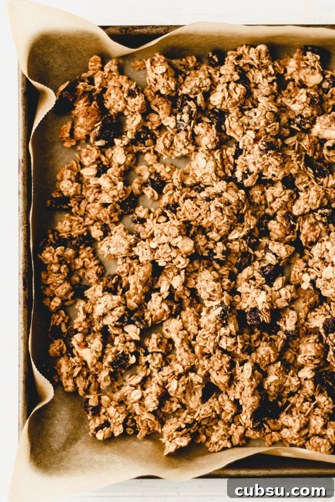 Chewy Oatmeal Raisin Cookie Granola [Vegan + Gluten-Free]