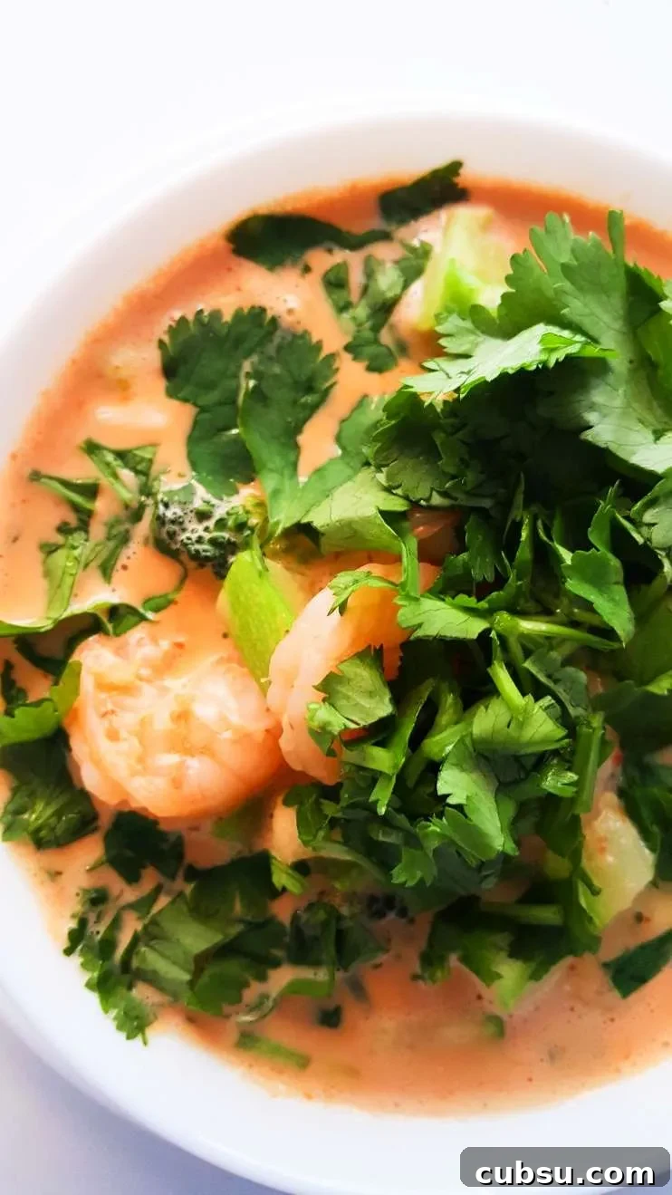 15 Low‑Carb Work Lunches to Prep Quickly and Stay Energized 12 20-minute coconut curry shrimp soup! This delicious Thai soup is gluten-free, paleo and a great low-carb / keto dinner recipe! This healthy soup is easy, quick and tastes amazing!