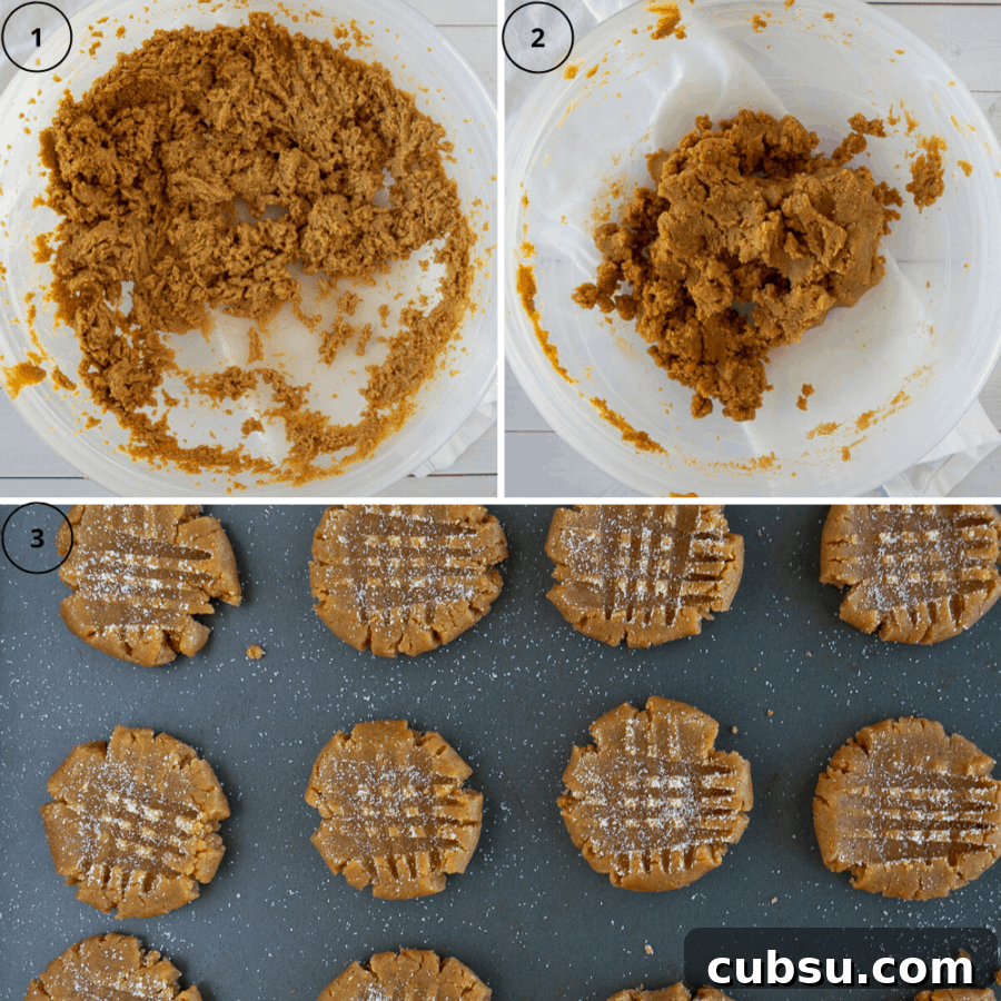 Flourless Peanut Butter Cookies Recipe — Chewy 3-Ingredient Treat 4 the process of making peanut butter cookies, first the bowl with peanut butter and sugars mixed, then the dough, then the dough on a cookie sheet formed into cookies