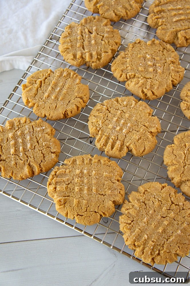 Flourless Peanut Butter Cookies Recipe — Chewy 3-Ingredient Treat 5 a cooling rack of peanut butter cookies