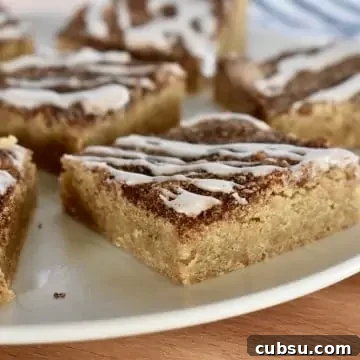 Chewy Cinnamon Sugar Blondies Recipe for Perfect Texture 14 Cinnamon Sugar Blondies on a plate.