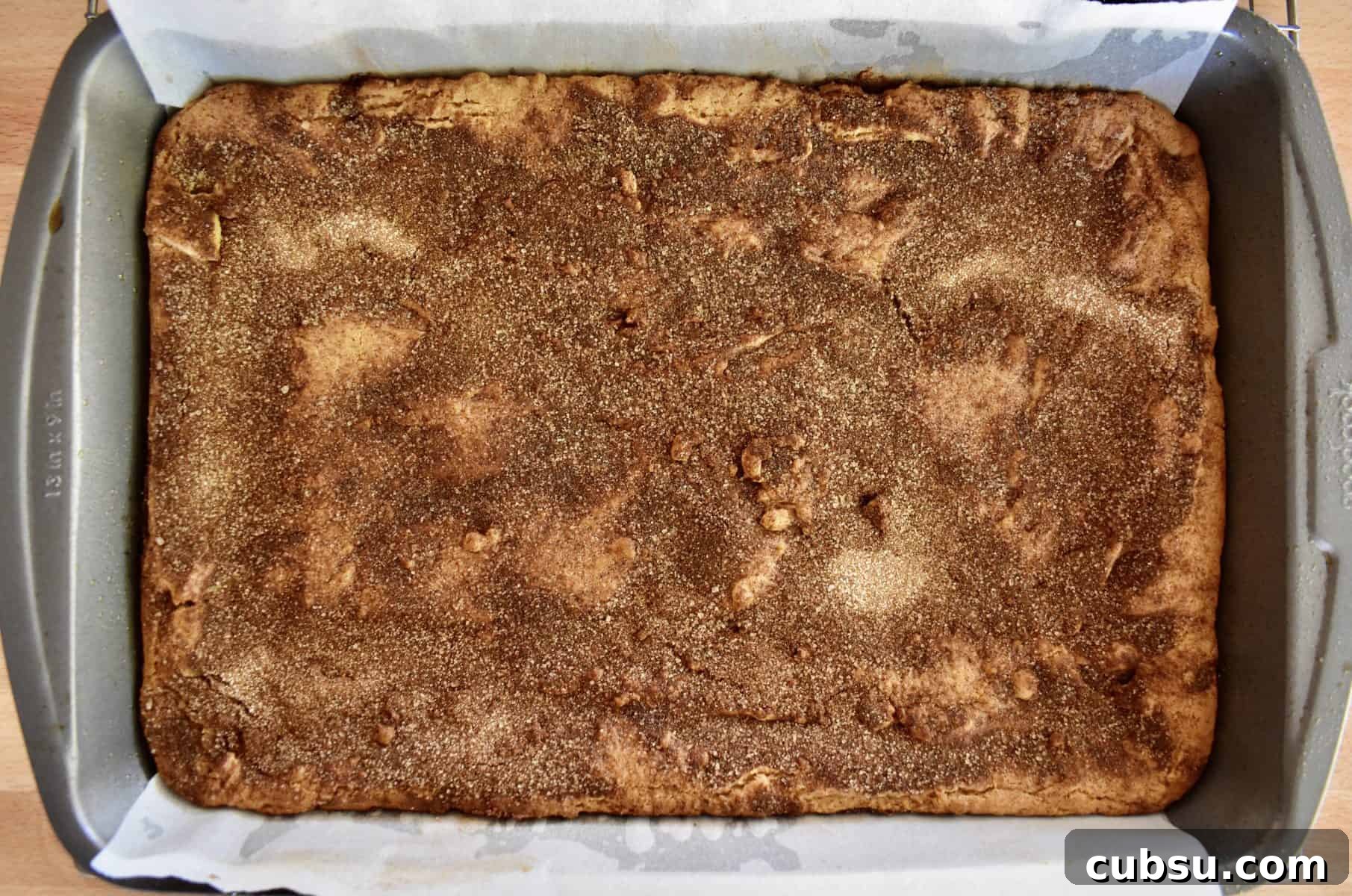 Chewy Cinnamon Sugar Blondies Recipe for Perfect Texture 8 Cinnamon Sugar Blondies in the baking pan with cinnamon topping.