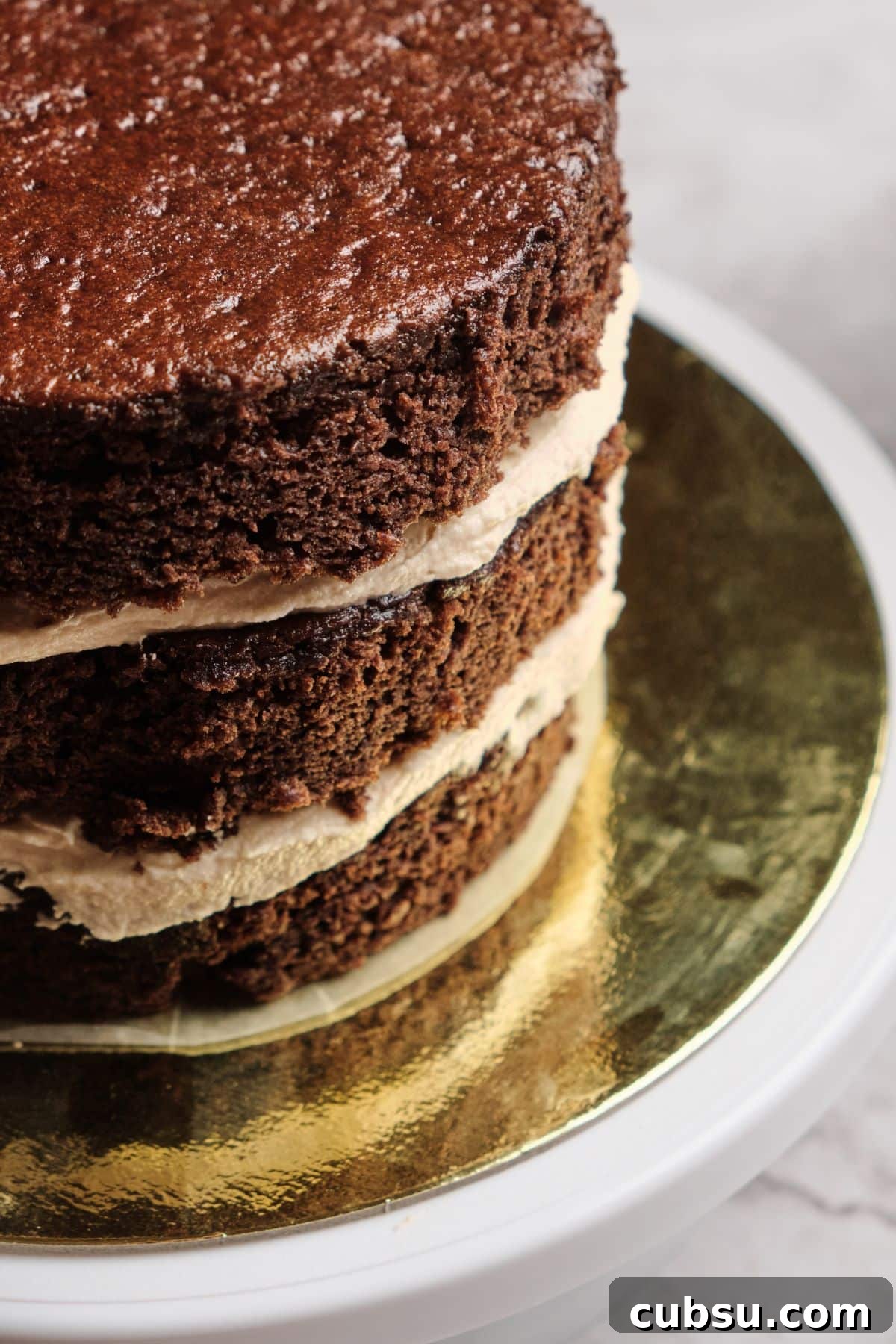 Chocolate Cake with Creamy Peanut Butter Frosting Recipe 11 A closeup of the three moist layers of chocolate cake with peanut butter frosting.