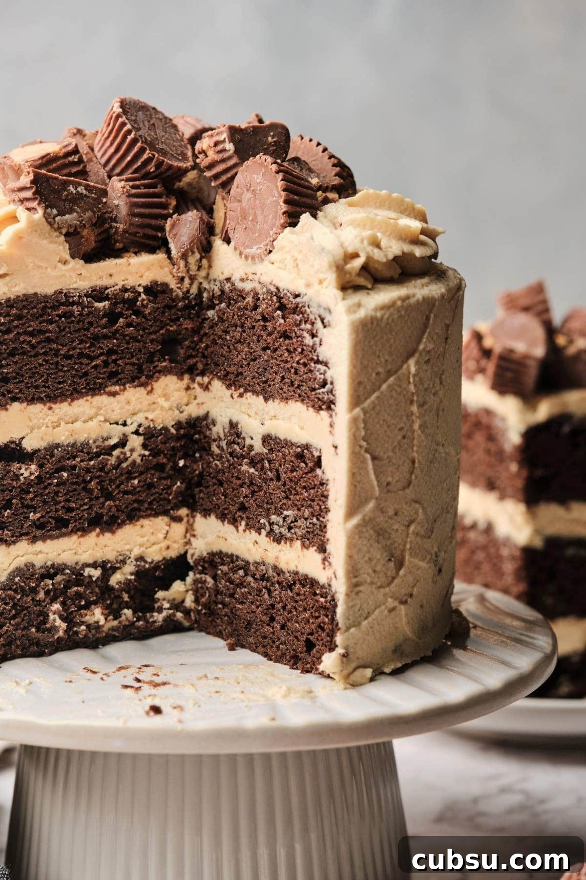 Chocolate Cake with Creamy Peanut Butter Frosting Recipe 13 A chocolate peanut butter cake cut open showing the layers and moist cake.