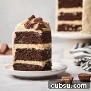 Chocolate Cake with Creamy Peanut Butter Frosting Recipe 18 A large slice of chocolate cake with peanut butter frosting.