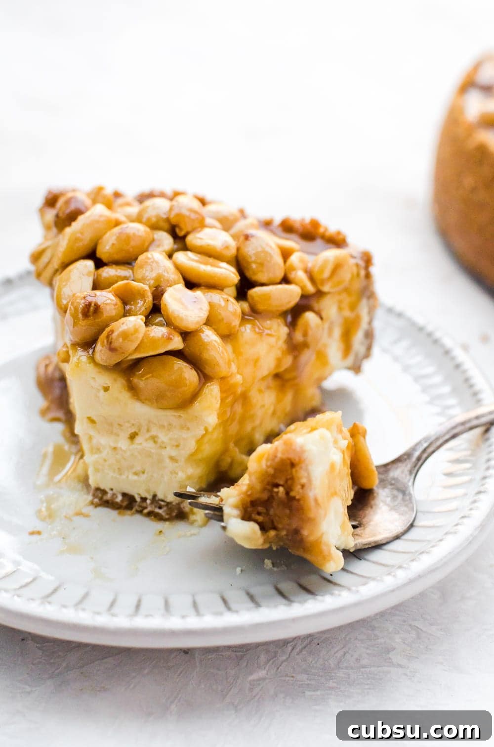 Decadent Caramel and Nut Cheesecake Recipe for Dessert Lovers 6 close up caramel nut cheesecake with fork