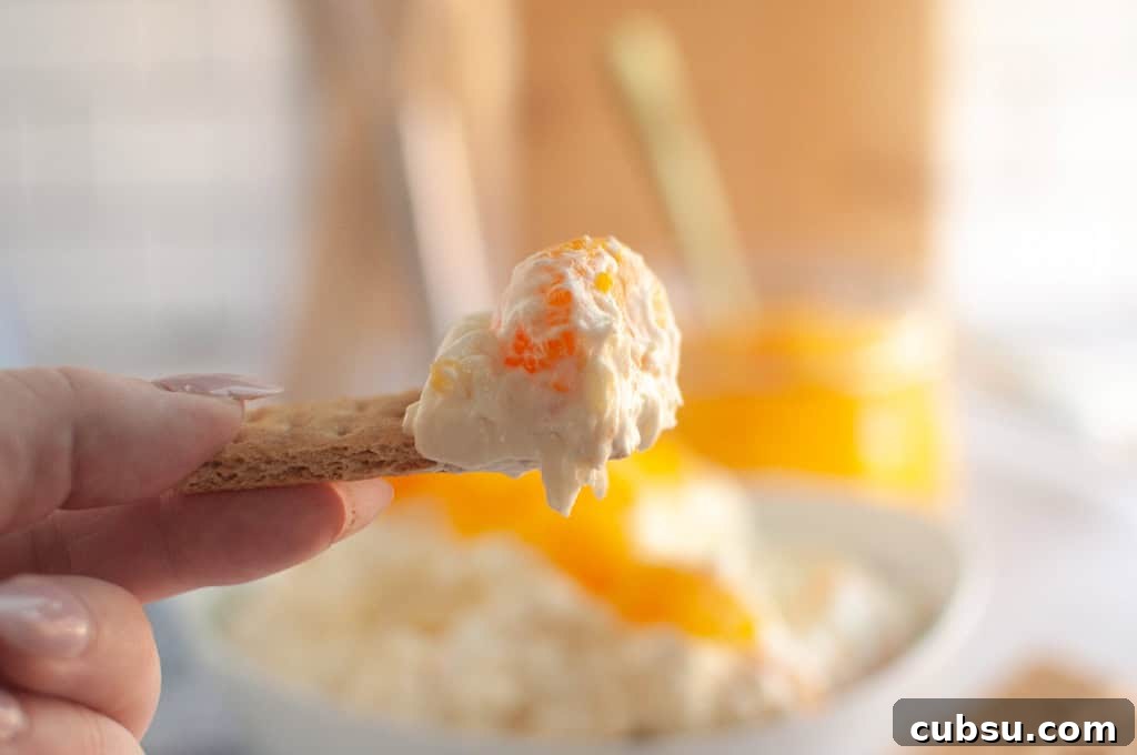 31 Classic Comfort Recipes That Keep Families Coming Back 33 A hand holds a graham cracker topped with creamy Orange Fluff Salad Dip over a blurred bowl of the dip.