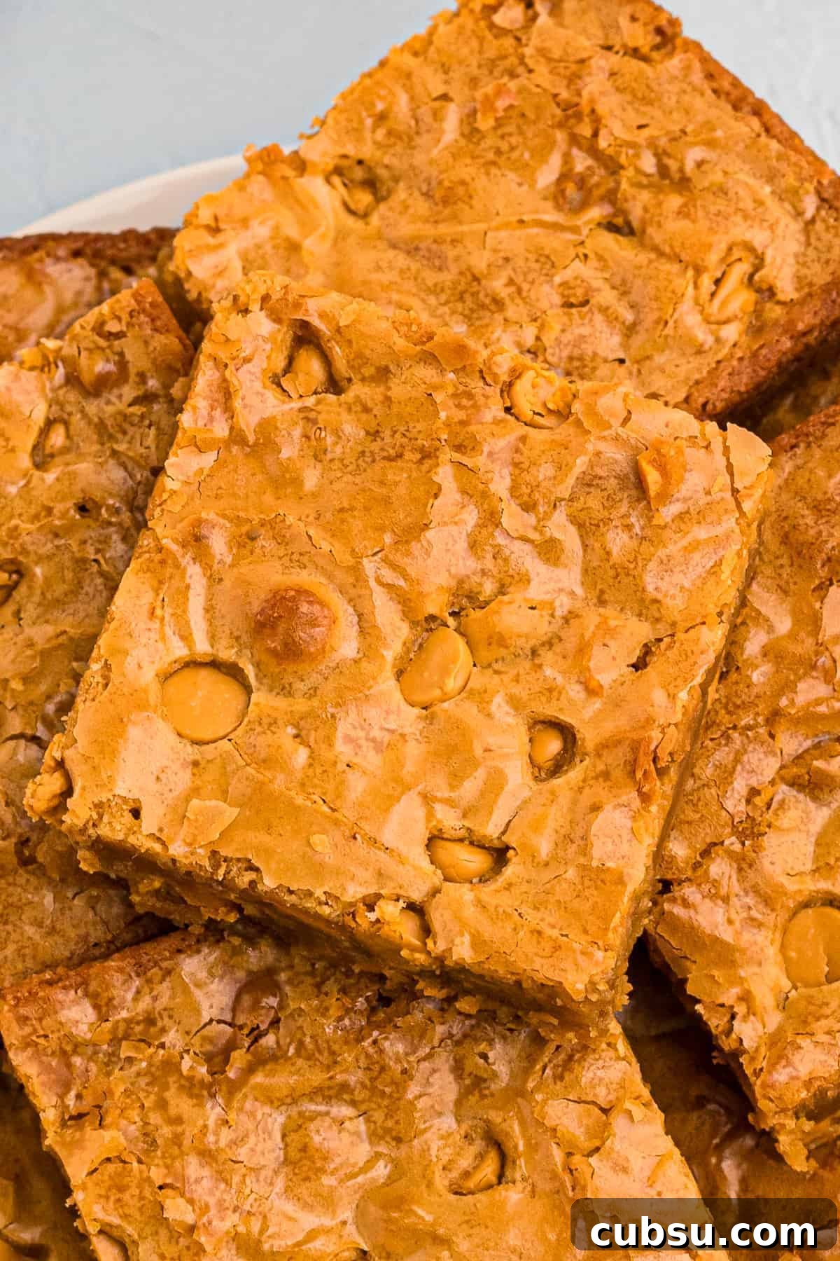 M&M Blondies Recipe: Chewy Chocolate Candy Bar Blondies 10 Butterscotch Blondies