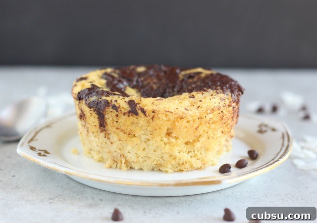Coconut flour cake with chocolate chips and vanilla