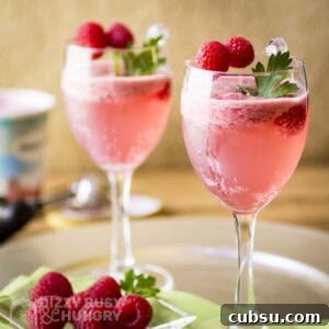 3-Ingredient Raspberry Spritz Cocktail Recipe 8 Side shot of two cocktail glasses with raspberry spritz garnished with fresh mint and raspberries