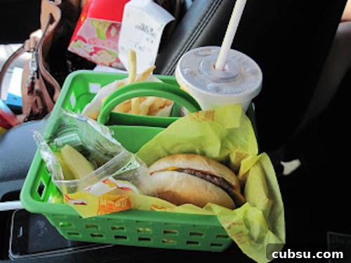 $1 shower caddy for when kids have to eat in the car. Good for car trips. This is genius!