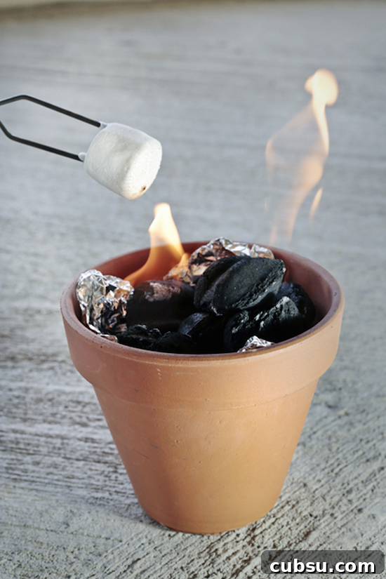Put charcoal in a foil lined terra cotta pot for table top s'mores! Perfect summer party idea!