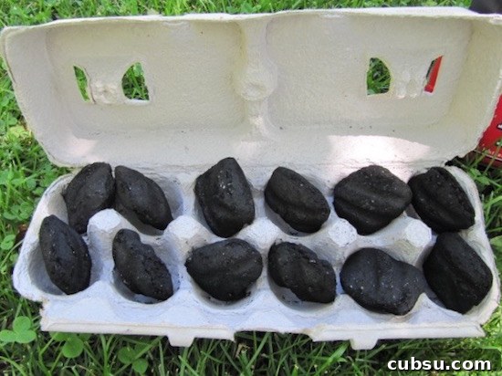 So smart!!! The cardboard carton is easy to light with a match and then the charcoal starts too!! Perfect for a fire starter or fire pit for smores!