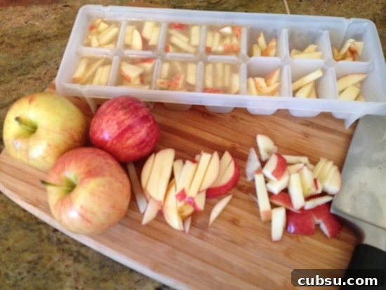 Freeze apple slices in chicken broth for a cool treat for your dog on a hot summer's day.
