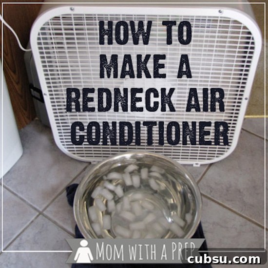Put a metal bowl filled with ice water in front of a fan. Redneck Air Conditioner! 