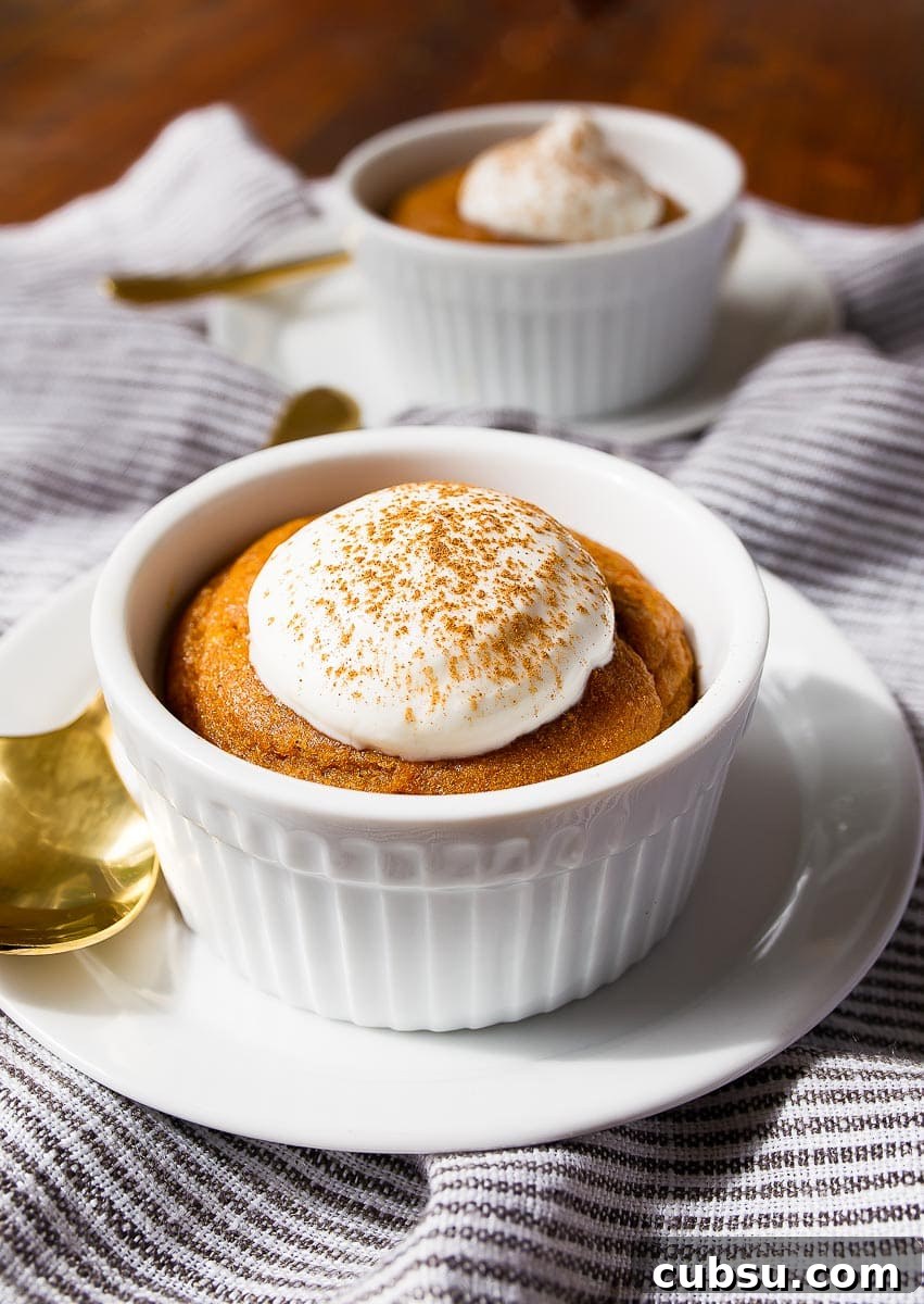 Easy pumpkin cake in ramekins. Two mini pumpkin cakes. A great recipe to use up leftover pumpkin puree.