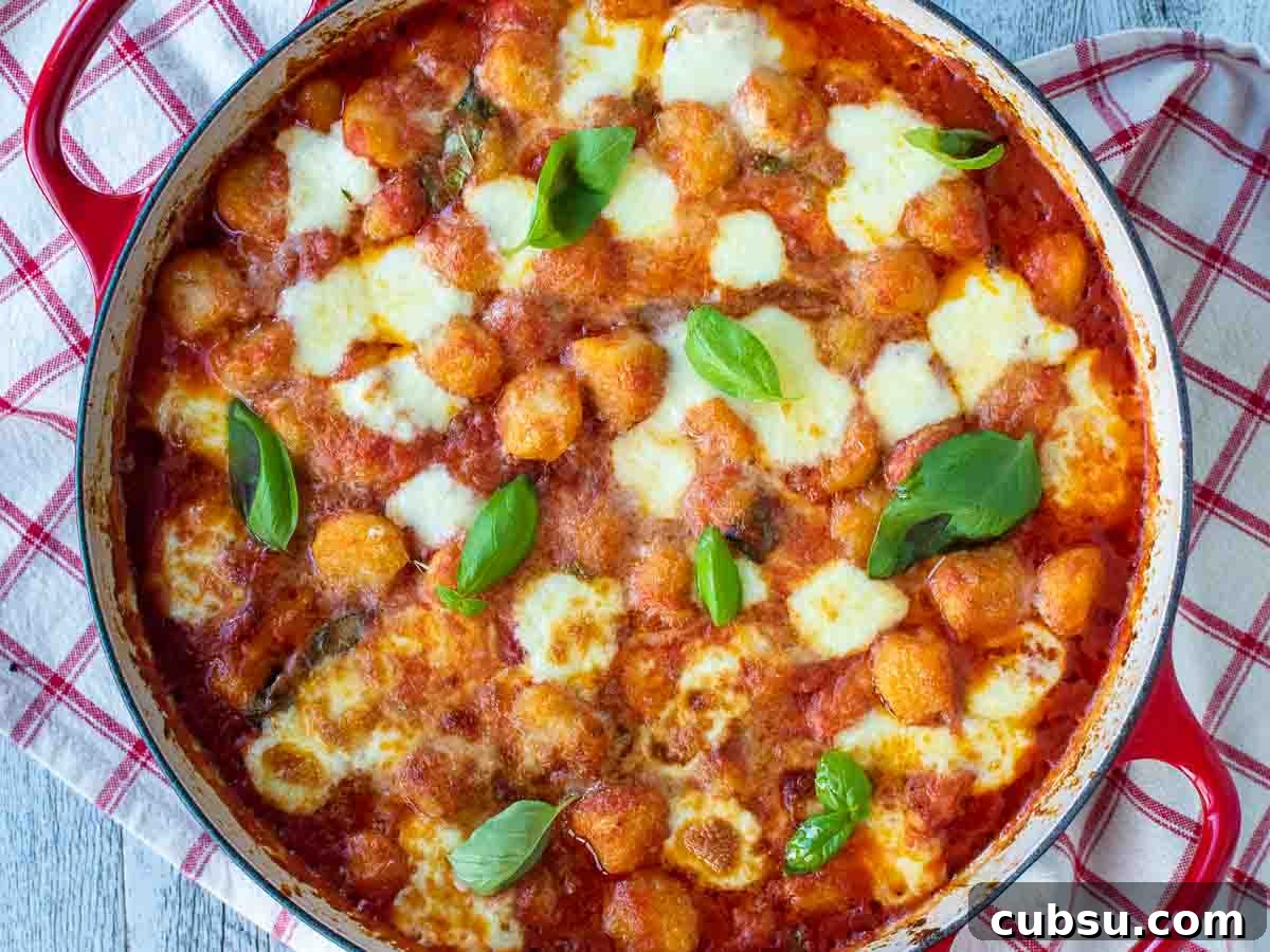 Overhead view of browned, gnocchi sorrentina with garnish of basil leaves.