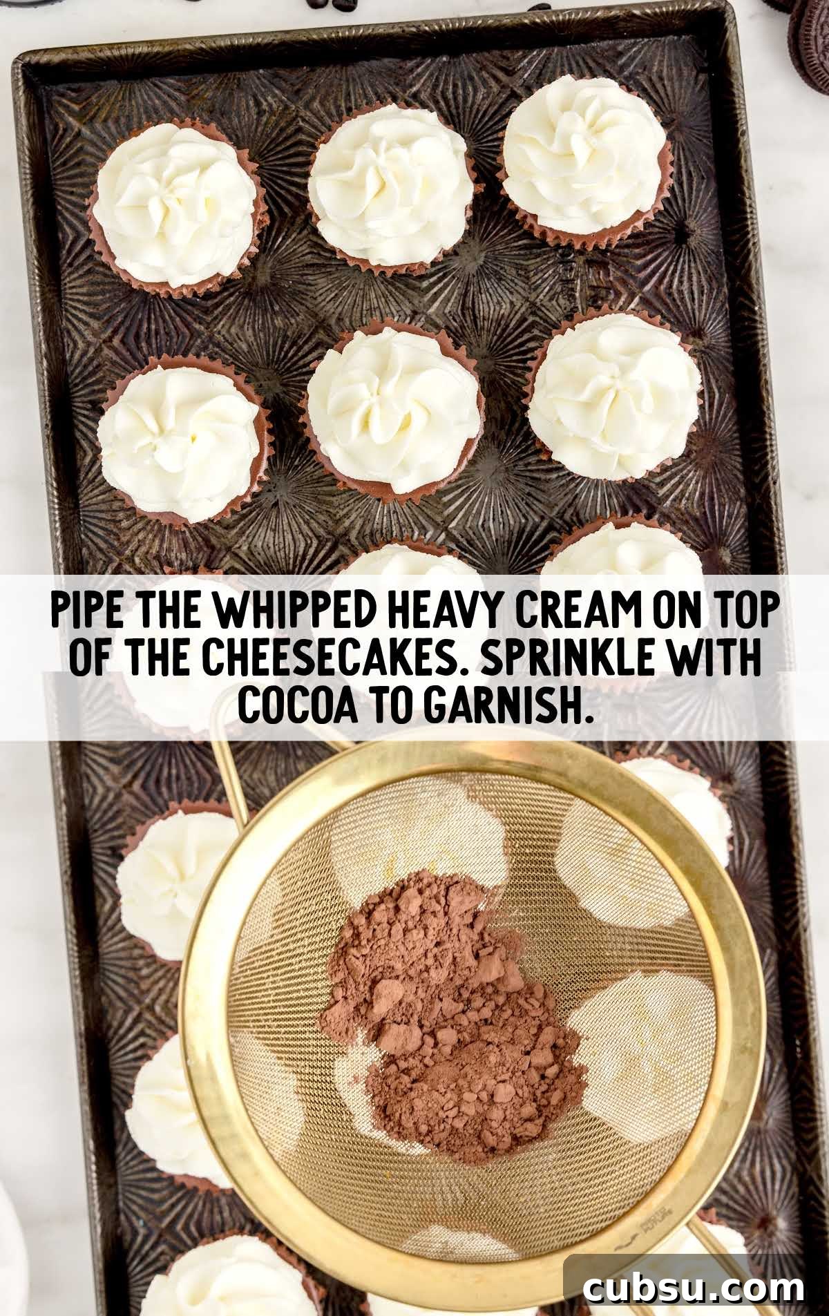 heavy cream pipped on top of the cheesecake sprinkled with cocoa on a baking tray