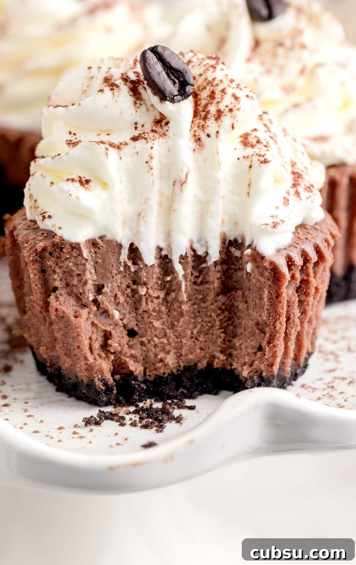 close up shot of Kahlua Cheesecake topped with frosting and sprinkled with cocoa on a cake stand with a bite taken out