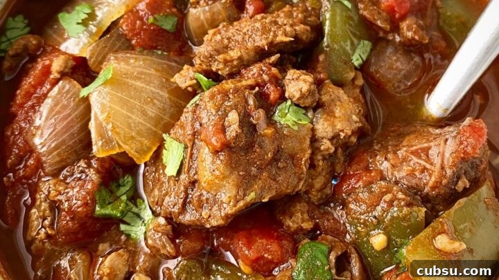 overhead shot of chunky beef stew in a white bowl garnish with avocado & cilantro